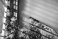 L1000441 - Bernhard Saalfeld
