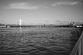 L1000442 - Bernhard Saalfeld