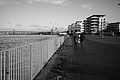 L1000443 - Bernhard Saalfeld