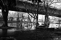 L1000447 - Bernhard Saalfeld