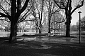 L1000449 - Bernhard Saalfeld