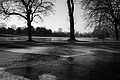 L1000450 - Bernhard Saalfeld
