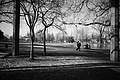 L1000456 - Bernhard Saalfeld