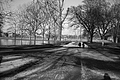 L1000458 - Bernhard Saalfeld