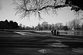 L1000459 - Bernhard Saalfeld
