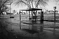 L1000460 - Bernhard Saalfeld