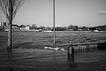 L1000468 - Bernhard Saalfeld