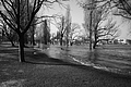 L1000469 - Bernhard Saalfeld