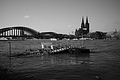 L1000470 - Bernhard Saalfeld