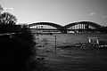 L1000473 - Bernhard Saalfeld