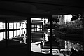 L1000477 - Bernhard Saalfeld