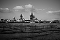 L1000479 - Bernhard Saalfeld