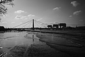 L1000481 - Bernhard Saalfeld