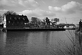L1000483 - Bernhard Saalfeld