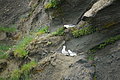 DSC01474 - Bernhard Saalfeld