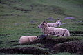 DSC01711 - Bernhard Saalfeld