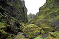 DSC01809 - Bernhard Saalfeld