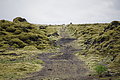 DSC01852 - Bernhard Saalfeld