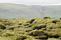 DSC01865 - Bernhard Saalfeld