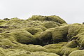 DSC01868 - Bernhard Saalfeld