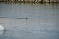 DSC02239 - Bernhard Saalfeld
