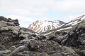 DSC02417 - Bernhard Saalfeld
