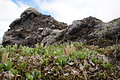 DSC02424 - Bernhard Saalfeld