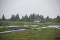 DSC02807 - Bernhard Saalfeld