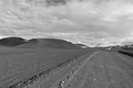 DSCF7447 - Bernhard Saalfeld