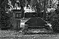 L1005578 - Bernhard Saalfeld