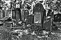 L1005581 - Bernhard Saalfeld