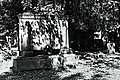 L1005586 - Bernhard Saalfeld