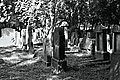 L1005594 - Bernhard Saalfeld