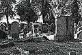 L1005597 - Bernhard Saalfeld