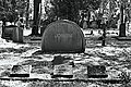 L1005600 - Bernhard Saalfeld