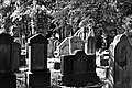 L1005619 - Bernhard Saalfeld