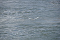 DSC02796 - Bernhard Saalfeld