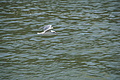 DSC02797 - Bernhard Saalfeld