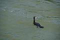 DSC02798 - Bernhard Saalfeld