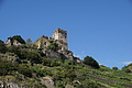 DSC02802 - Bernhard Saalfeld