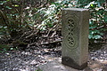 DSC02930 - Bernhard Saalfeld