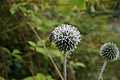 DSC02946 - Bernhard Saalfeld
