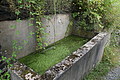 DSC02948 - Bernhard Saalfeld