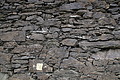 DSC02949 - Bernhard Saalfeld