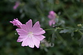 DSC02950 - Bernhard Saalfeld