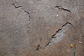 DSC02953 - Bernhard Saalfeld