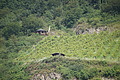 DSC02987 - Bernhard Saalfeld
