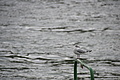 DSC02998 - Bernhard Saalfeld