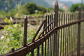 DSC01811 - Bernhard Saalfeld