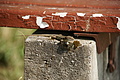 DSC01835 - Bernhard Saalfeld